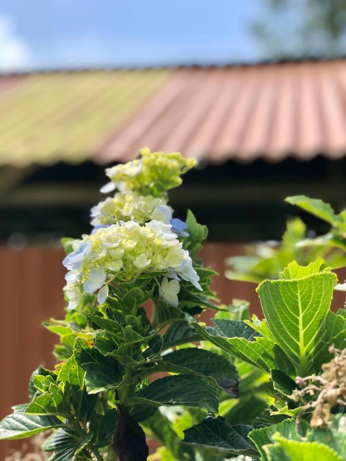 Casita El Jardin Villa Bujagua Buitenkant foto